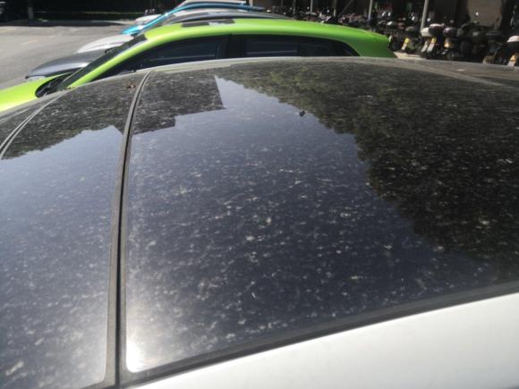 [嘉兴·浙F] 二手捷豹捷豹XJ2014款 XJL 2.0T 两驱典雅商务版