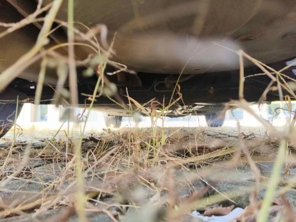 [嘉兴·浙F] 二手日产骊威2013款 1.6XE 手动舒适版