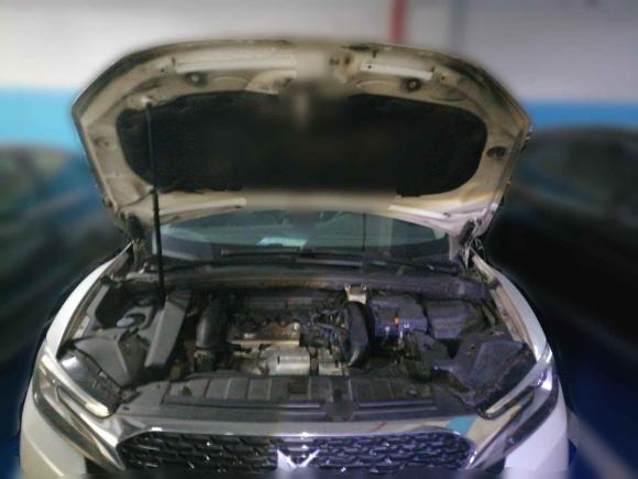 [宁波·浙B] 二手DSDS 62014款 1.6T 豪华版THP200