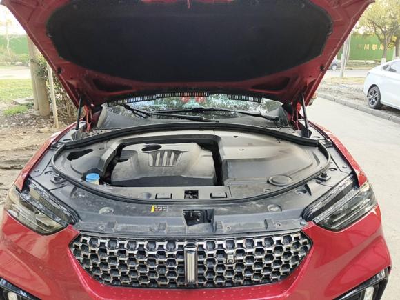 [苏州·苏U] 二手魏牌魏牌 VV7 GT2020款 2.0T 旗舰型