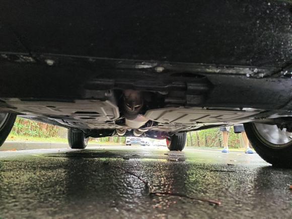 [上海·沪M] 二手讴歌讴歌RDX2019款 2.0T 智享版SH-AWD 国VI