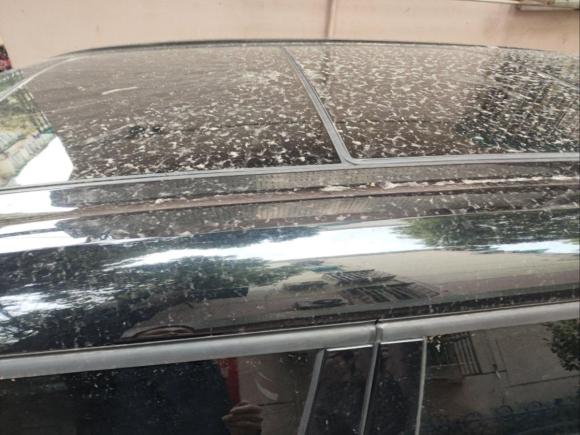 [上海·沪D] 二手MINIMINI CLUBMAN2016款 改款 1.5T COOPER 极客版