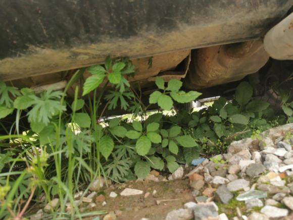 [温州·浙C] 二手江淮瑞风S32015款 1.5L 手动豪华智能尊享版