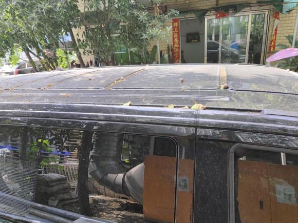 [成都·川F] 二手奔驰奔驰V级2018款 V 260 领航版 国V