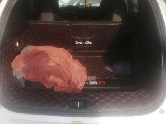 [青岛·鲁B] 二手小鹏小鹏G32021款 G3i 520N