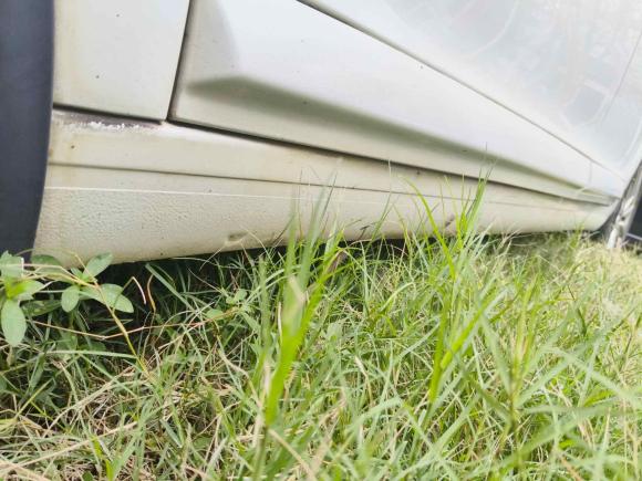 [武汉·鄂A] 二手雪铁龙世嘉2014款 VTS版 1.6L 自动品尚型