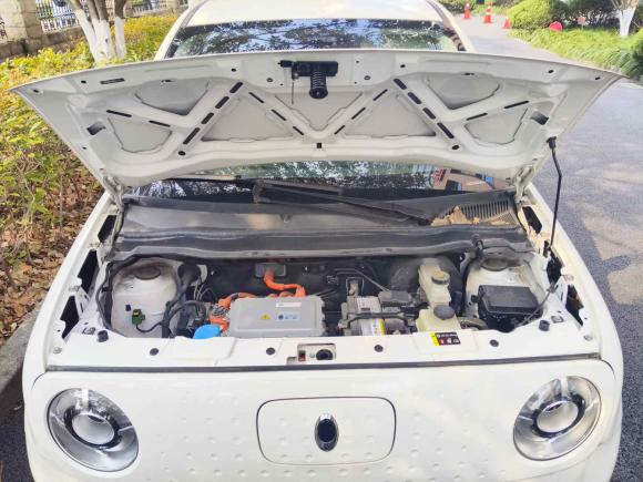 [杭州·浙A] 二手欧拉欧拉黑猫2021款 301km 基础型