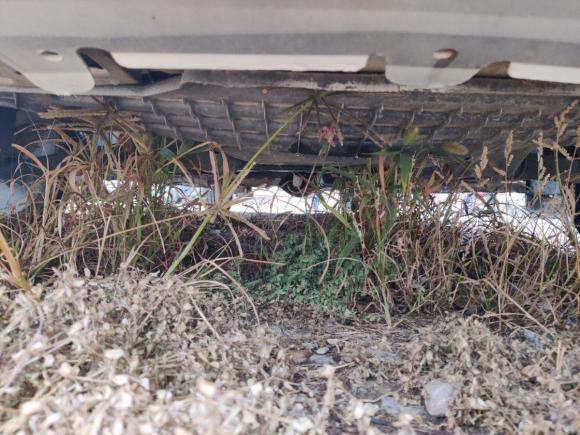 [苏州·苏E] 二手东风风行风行F6002016款 F600L 1.5T 豪华型