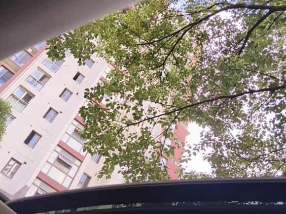 [上海·粤D] 二手福特翼虎2013款 1.6L GTDi 四驱精英型