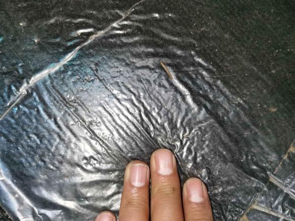 [西安·陕A] 二手比亚迪速锐2018款 1.5L 手动尊享型