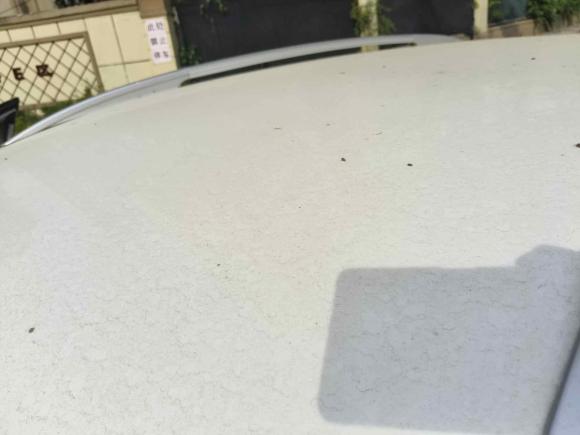 [济南·鲁A] 二手宝骏宝骏5302020款 1.5T 手动舒适型 7座