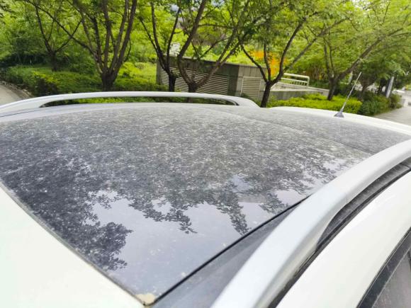 [西安·陕U] 二手雷诺科雷傲2012款 2.5L 四驱豪华导航版