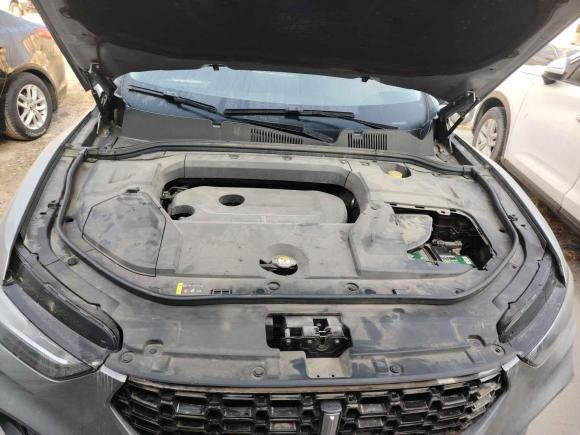 [上海·皖K] 二手魏牌魏牌 VV52017款 2.0T 超豪型