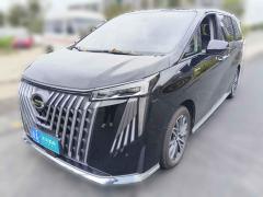 [杭州·浙A] 广汽传祺传祺M82024款 大师系列 400T 尊贵版