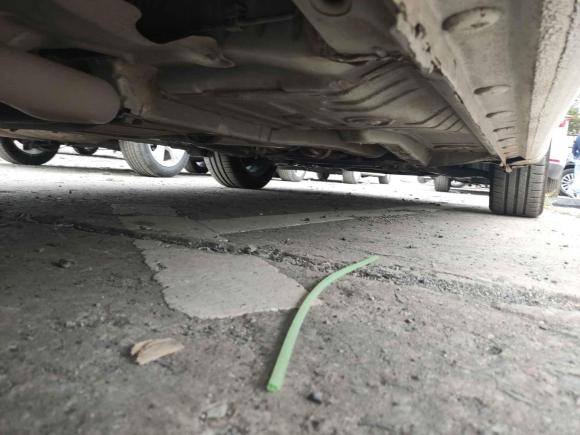 [上海·沪C] 二手比亚迪秦2019款 1.5L 自动豪华型