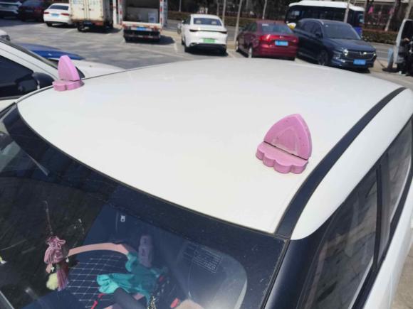 [常州·苏D] 二手欧拉欧拉白猫2020款 360km 豪华型