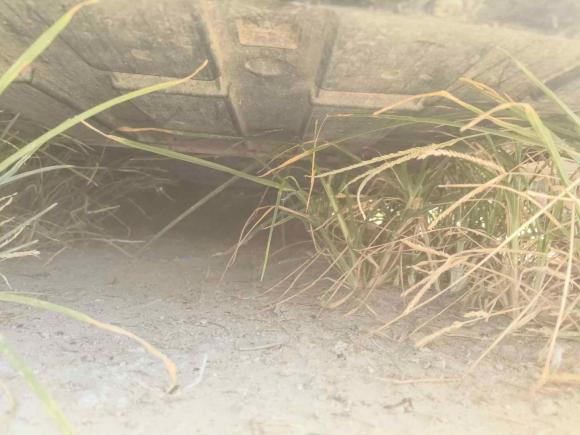 [南通·苏F] 二手凯迪拉克凯迪拉克CT62022款 28T 豪华型