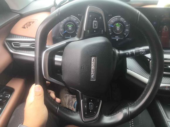 [芜湖·皖B] 二手奇瑞新能源大蚂蚁2020款 高能pro版