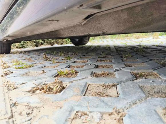 [青岛·鲁B] 二手奥迪奥迪A6L2015款 TFSI 百万纪念智领型