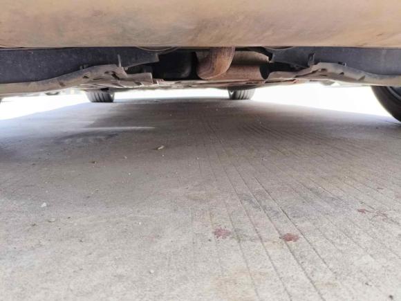 [深圳·云A] 二手福特福克斯2022款 两厢 EcoBoost 180 自动ST Line