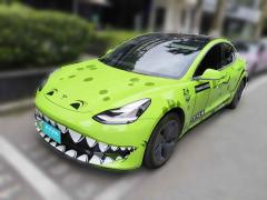 [温州·浙C] 特斯拉Model 32020款 标准续航后驱升级版