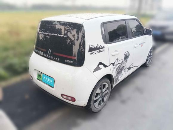 [杭州·粤B] 二手欧拉欧拉白猫2020款 401km 旗舰型