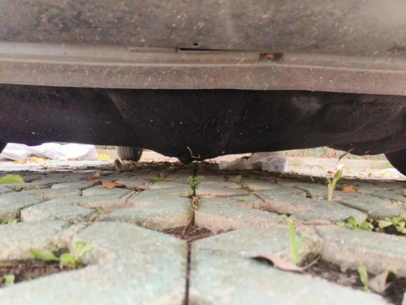 [上海·苏F] 二手福特福克斯2012款 两厢 1.6L 自动风尚型