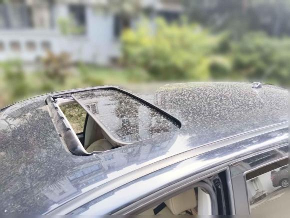 [南京·苏A] 二手日产逍客2010款 20X雷 CVT 2WD