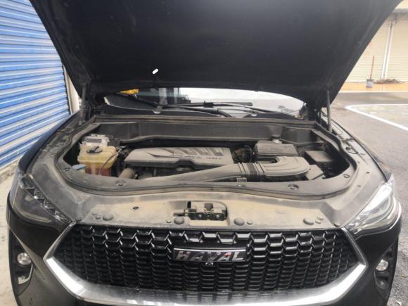 [嘉兴·苏H] 二手哈弗哈弗F72019款 1.5T 两驱i潮 国V