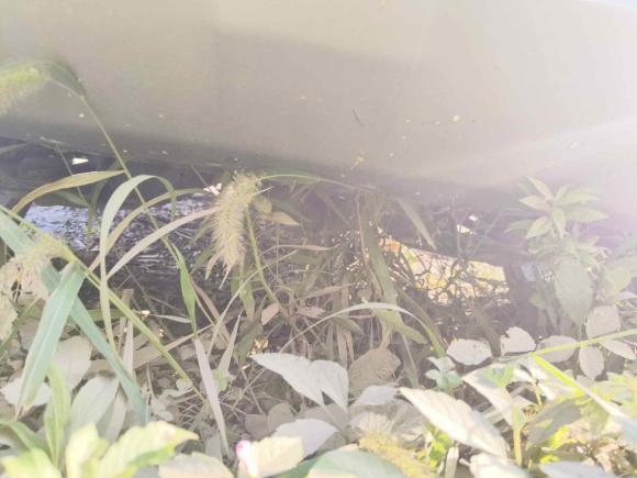 [苏州·苏E] 二手别克昂科威2020款 昂科威S 652T 四驱Avenir艾维亚