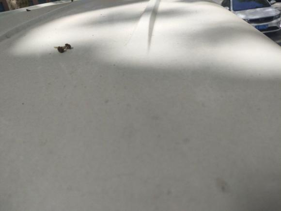 [西安·陕A] 二手金龙龙耀82020款 纯电动厢式运输车41.86kWh