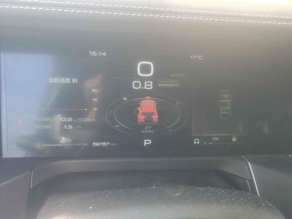 [温州·浙C] 二手坦克坦克3002021款 越野版 2.0T 征服者