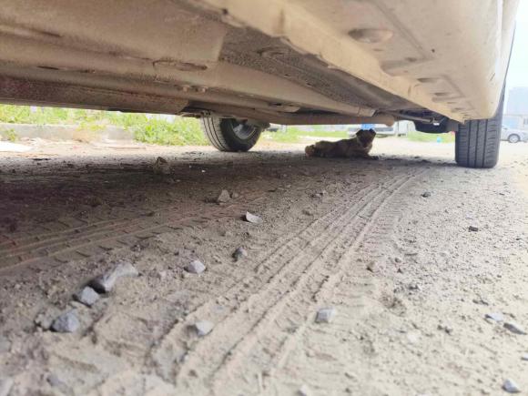 [济南·鲁A] 二手宝骏宝骏310W2017款 1.5L 手动时尚型 国VI