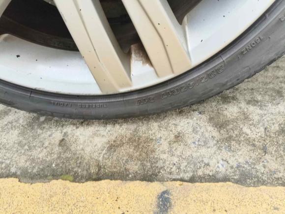 [温州·浙C] 二手大众速腾2018款 280TSI DSG豪华型