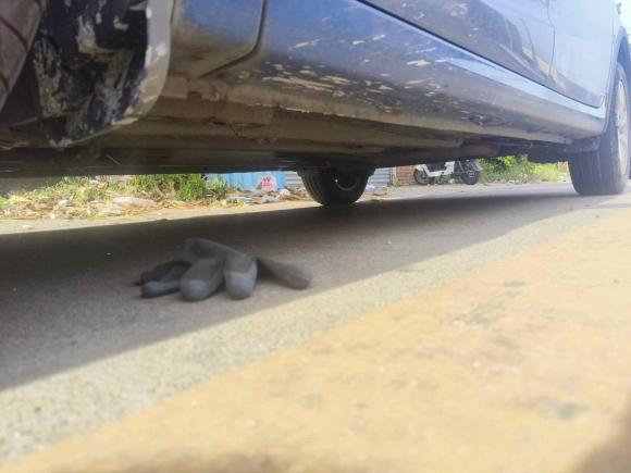 [佛山·粤X] 二手宝骏宝骏310W2017款 1.5L 手动时尚型 国V