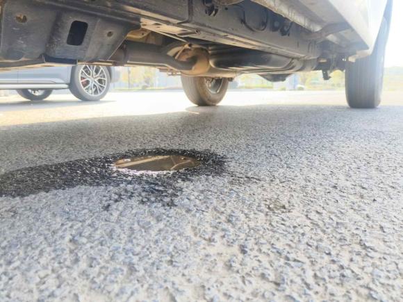 [南京·苏A] 二手长城炮2021款 2.0T商用版手动汽油两驱精英型长箱GW4C20B