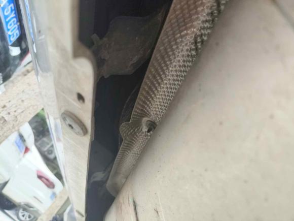 [成都·川G] 二手Jeep指南者2017款 200T 自动家享版