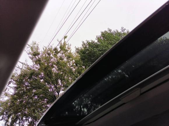 [苏州·苏E] 二手斯柯达明锐2017款 1.6L 自动智行版