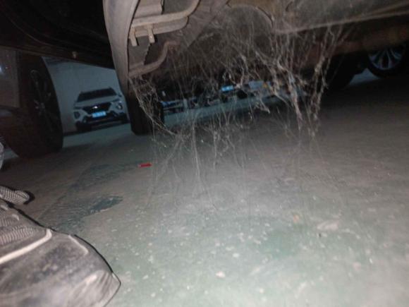 [西安·陕A] 二手起亚狮跑2012款 2.0L 自动两驱版GLS