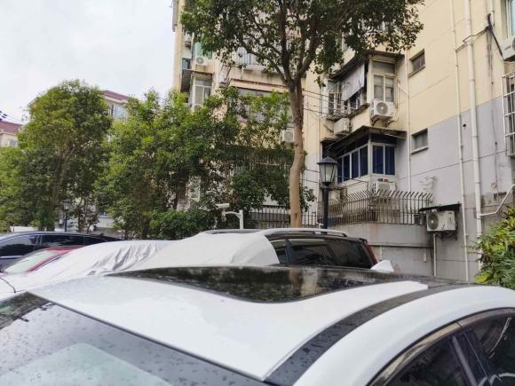 [上海·沪A] 二手埃安AION S2019款 魅 530