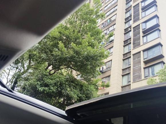 [上海·沪A] 二手大众途铠2019款 1.5L 自动舒适版