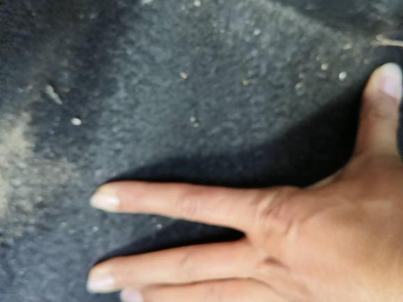 [苏州·苏E] 二手马自达马自达32010款 2.0L 手动经典运动型