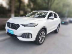 [苏州·苏E] 魏牌魏牌 VV62020款 2.0T 两驱智享+