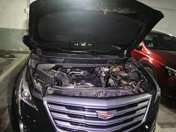 [上海·沪E] 二手凯迪拉克凯迪拉克XT52016款 25T 豪华型