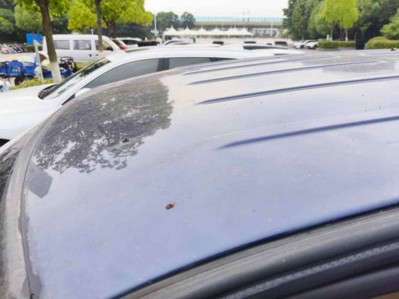 [南京·苏A] 二手别克别克GL82013款 2.4L 经典版