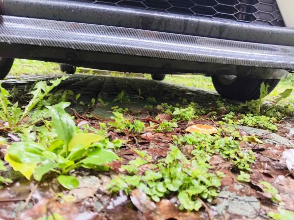 [上海·苏U] 二手本田飞度2014款 1.5L SE CVT时尚型