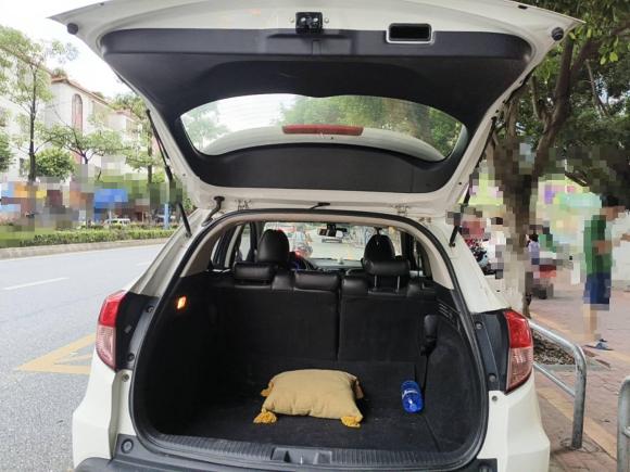 [佛山·粤E] 二手本田缤智2015款 1.5L CVT两驱舒适型