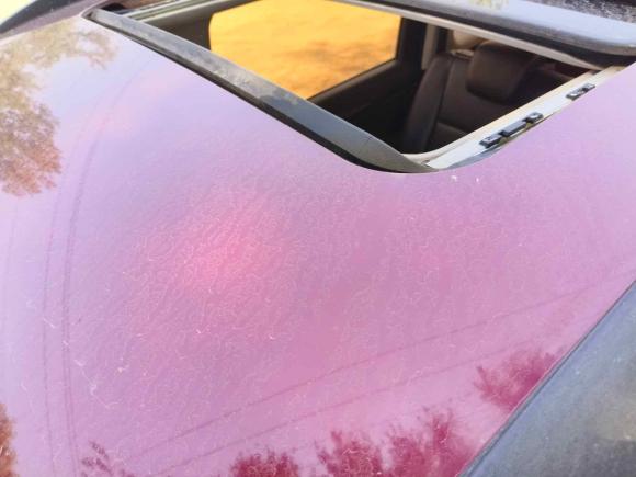 [济南·鲁A] 二手长安凯程长安欧尚A6002016款 1.5L 手动豪华型7座