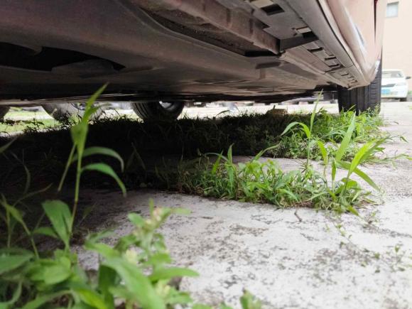 [广州·粤A] 二手马自达阿特兹2014款 2.0L 蓝天豪华版