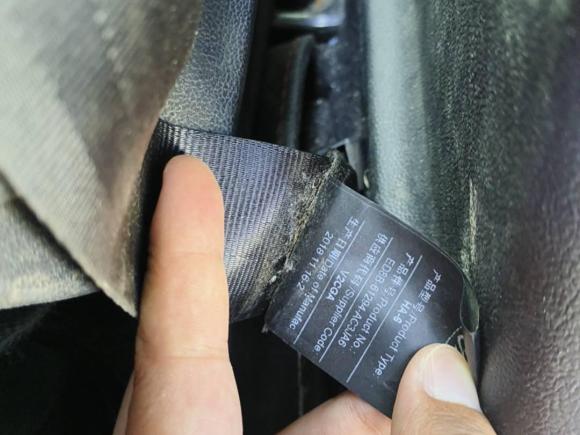 [西安·陕A] 二手福特福睿斯2019款 1.5L 自动悦享型